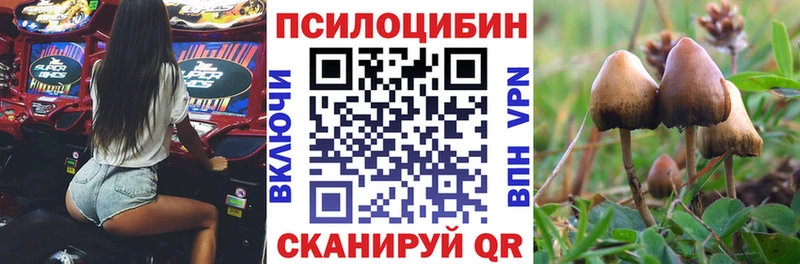 Галлюциногенные грибы прущие грибы  Домодедово 
